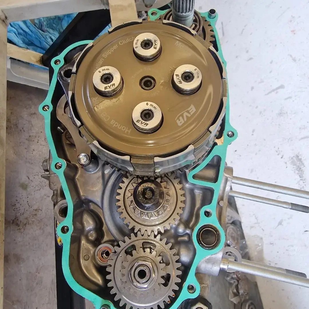 486112500 1235009851957815 8119838545207438610 n